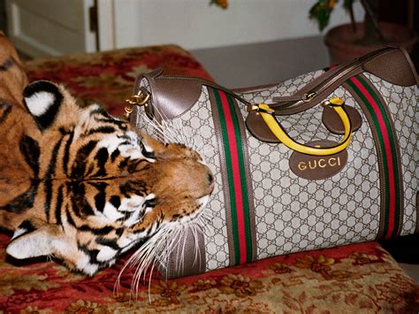 what laws were violated in the gucci vs guess case|Gucci and guess lawsuit.